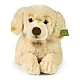 Μεγάλο βελούδινο Golden Retriever 60 cm. ξαπλομένος