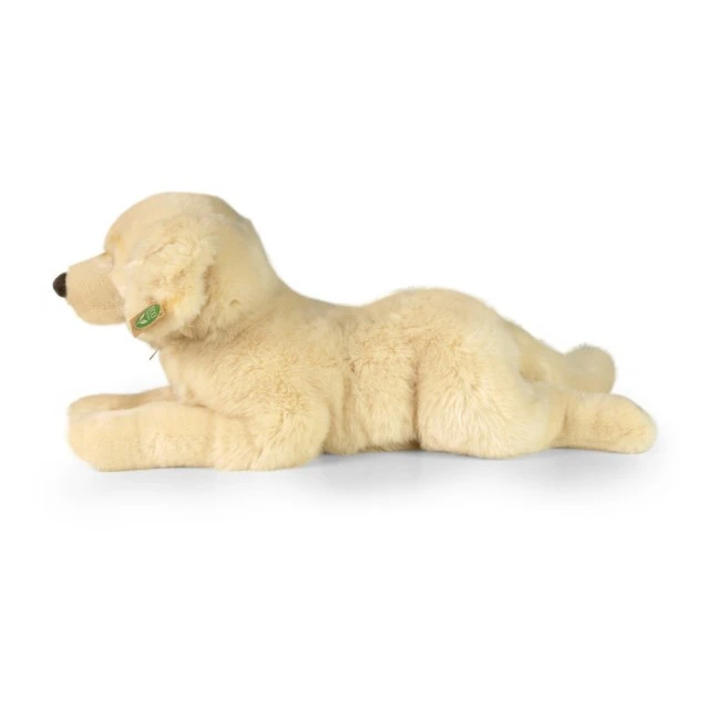 Μεγάλο βελούδινο Golden Retriever 60 cm. ξαπλομένος