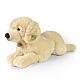 Μεγάλο βελούδινο Golden Retriever 60 cm. ξαπλομένος