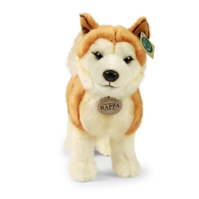 Λούτρινο σκυλί Akita 30 cm όρθιο