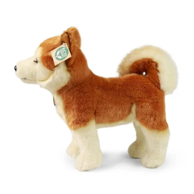 Λούτρινο σκυλί Akita 30 cm όρθιο