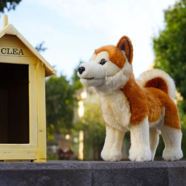 Λούτρινο σκυλί Akita 30 cm όρθιο