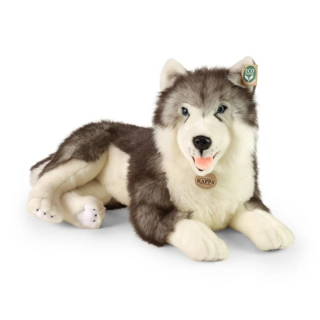Μεγάλος σκύλος Siberian husky 60 cm ξαπλωμένος