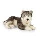 Μεγάλος σκύλος Siberian husky 60 cm ξαπλωμένος