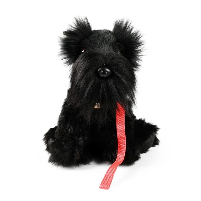 Λούτρινο Schnauzer που κάθεται σε λουρί 30 cm.