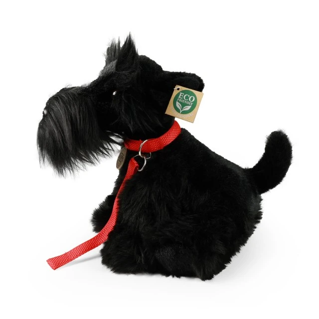 Λούτρινο Schnauzer που κάθεται σε λουρί 30 cm.