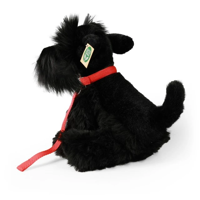 Λούτρινο Schnauzer που κάθεται σε λουρί 30 cm.