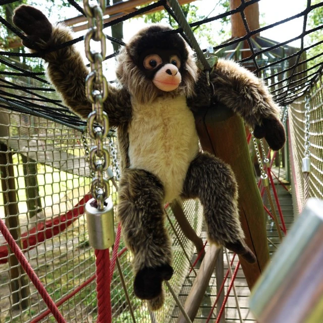 Λούτρινο Spider Monkey 30 cm.