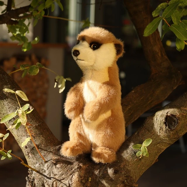 Λούτρινο Meerkat με όρθια στάση 23 εκ. Σειρά Soft Collection