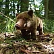 Λούτρινο Αγριογούρουνο με Στάση 30 εκ. Σειρά Eco Friends