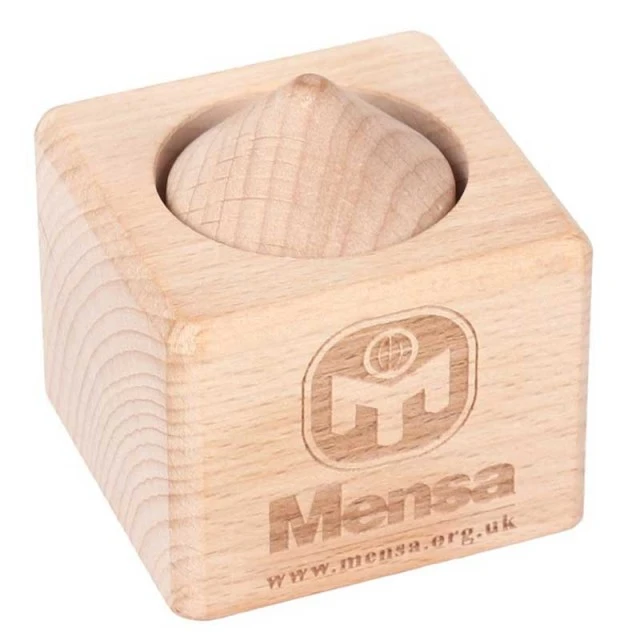 Παιδικό ξύλινο παζλ IQ από τη σειρά Mensa