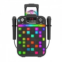 Ηχείο Bluetooth καραόκε με 2 μικρόφωνα και λάμπα LED, μαύρο
