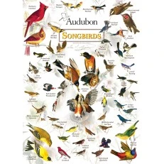 Παζλ Master Pieces 1000 τεμαχίων - Πουλιά