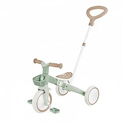 Τρίκυκλο με γονικό έλεγχο 3 σε 1 GLOBBER LEARNING TRIKE PLUS, μέντα