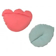 Baby Clic Διακοσμητικά μαξιλάρια 2 τεμάχια - Bloom