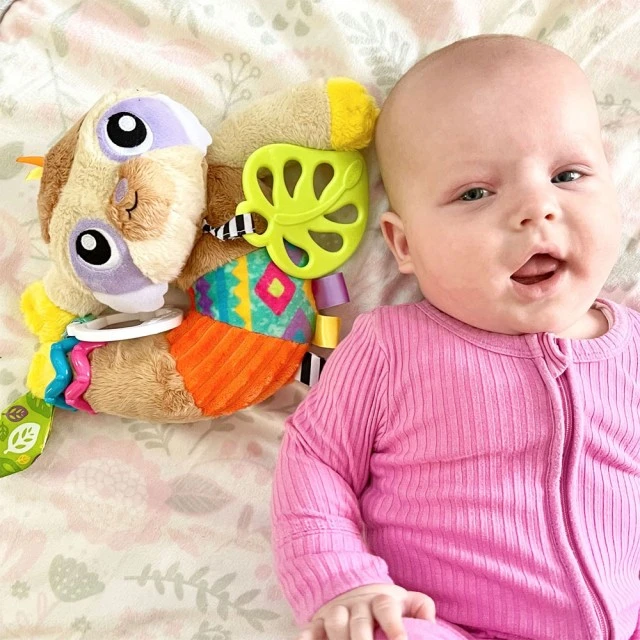 PLAYGRO Δραστήριο παιχνίδι Βραδύποδας Σάλο, 0μ+