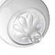 Pacifiers Natural Response SCY961/02 Thread 1, για νεογέννητο 0m