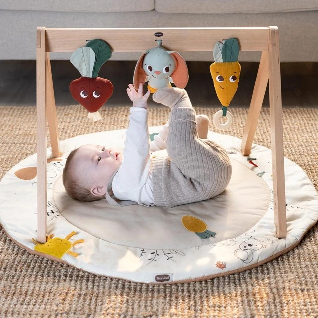 Tiny Love Luxe Gymini γυμναστήριο δραστηριοτήτων από την Eco σειρά Garden