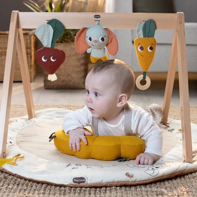 Tiny Love Luxe Gymini γυμναστήριο δραστηριοτήτων από την Eco σειρά Garden
