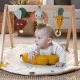Tiny Love Luxe Gymini γυμναστήριο δραστηριοτήτων από την Eco σειρά Garden