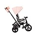 Makani Tricycle Nikki Pink Melange 2020