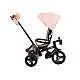 Makani Tricycle Nikki Pink Melange 2020