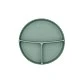 Platinum Silicone Sage Πλάκα σφραγισμένη με κενό