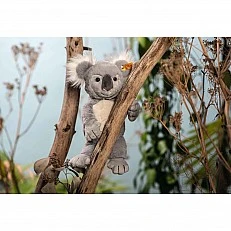 Nils Koala Μέγεθος: 30 εκ Κλάση: Friends