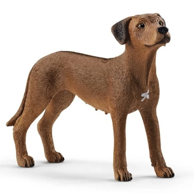 Φιγούρα σκύλου Ροδεσιανού Ρίτζμπακ, Schleich Ηλικία: 3+ Μέγεθος: 6.5x5.1x2 εκ.
