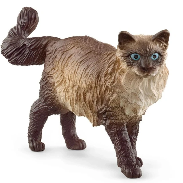 Φιγούρα Ragdoll Kitten, Schleich Ηλικία: 3+ Μέγεθος: 6,5x3,9x1,5 cm