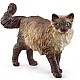 Φιγούρα Ragdoll Kitten, Schleich Ηλικία: 3+ Μέγεθος: 6,5x3,9x1,5 cm