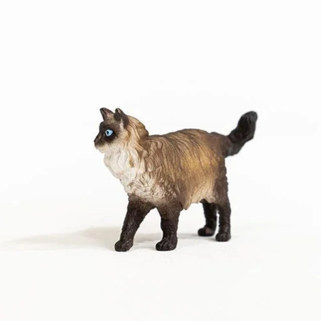 Φιγούρα Ragdoll Kitten, Schleich Ηλικία: 3+ Μέγεθος: 6,5x3,9x1,5 cm