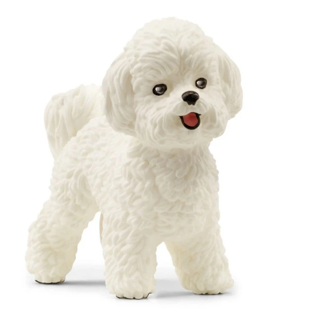 Φιγούρα Σκύλου Bichon Frise, Schleich Ηλικία: 3+ Μέγεθος: 4.4x1.8x3.7 εκ.