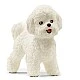 Φιγούρα Σκύλου Bichon Frise, Schleich Ηλικία: 3+ Μέγεθος: 4.4x1.8x3.7 εκ.