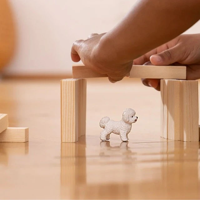Φιγούρα Σκύλου Bichon Frise, Schleich Ηλικία: 3+ Μέγεθος: 4.4x1.8x3.7 εκ.