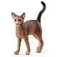 Ειδώλιο γάτας Αβησσυνίας, Schleich Ηλικία: 3+ Μέγεθος: 6x5x1.5 εκ.