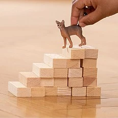 Ειδώλιο γάτας Αβησσυνίας, Schleich Ηλικία: 3+ Μέγεθος: 6x5x1.5 εκ.