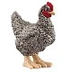 Ειδώλιο Plymouth Rock Horse, Schleich Ηλικία: 3+ Μέγεθος: 3.5x2.3x4.4 εκ.