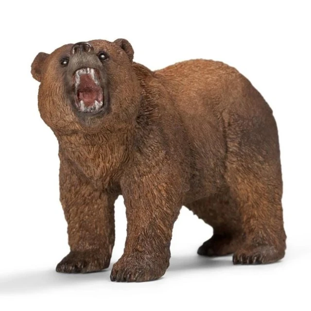 Φιγούρα Αρκούδας Γκρίζλι, Schleich Ηλικία: 3+ Μέγεθος: 11x6.5x4.5 εκ.