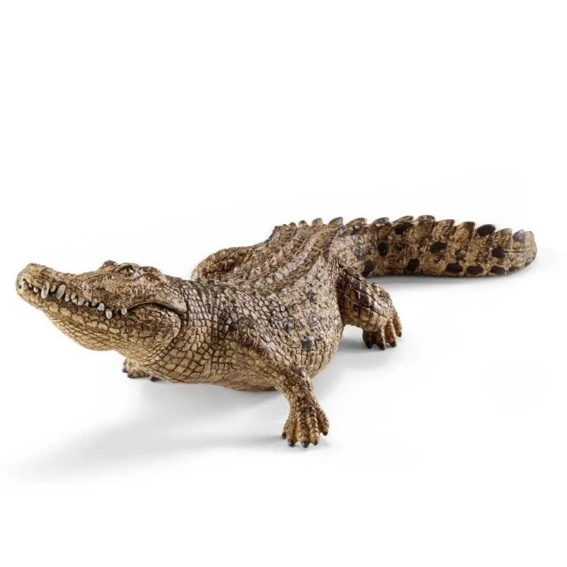 Φιγούρα Κροκόδειλου, Schleich Ηλικία: 3+ Μέγεθος: 6.9x5.1x18 εκ.