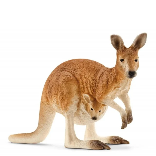 Φιγούρα Καγκουρό, Schleich Ηλικία: 3+ Μέγεθος: 11.4x3.5x6.5 εκ.