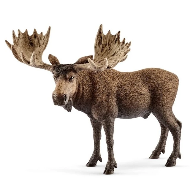 Φιγούρα άλκης, Schleich Ηλικία: 3+ Μέγεθος: 12,5x10,3x6,6 εκ.