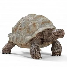 Ειδώλιο Γιγάντιας Χελώνας, Schleich Ηλικία: 3+ Μέγεθος: 4.3x7.8x4.1 εκ.