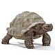 Ειδώλιο Γιγάντιας Χελώνας, Schleich Ηλικία: 3+ Μέγεθος: 4.3x7.8x4.1 εκ.