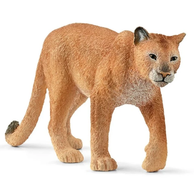 Φιγούρα Πούμα, Schleich Ηλικία: 3+ Μέγεθος: 12x2.7x5.4εκ.