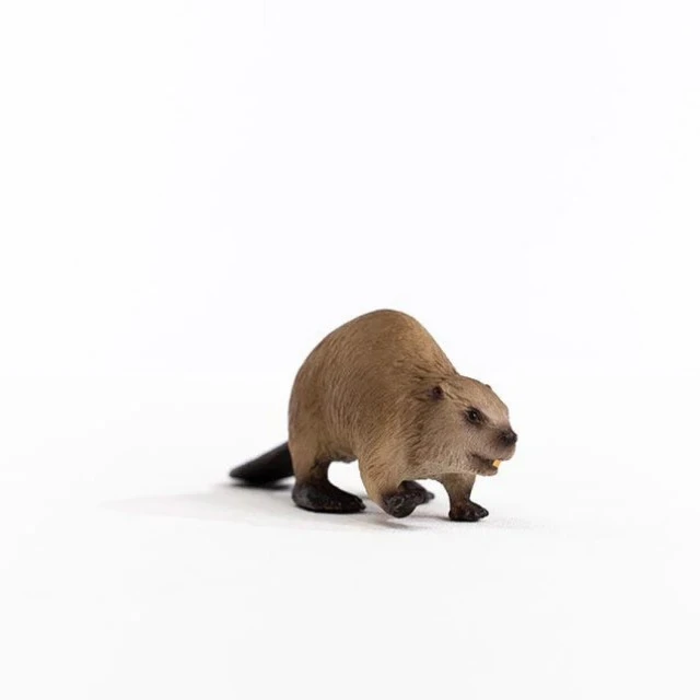 Φιγούρα Κάστορα, Schleich Ηλικία: 3+ Μέγεθος: 9.8x3.5x2.8cm