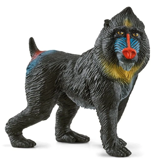 Ειδώλιο μαϊμού Mandrill, Schleich Ηλικία: 3+ Μέγεθος: 6,5x6,1x3cm