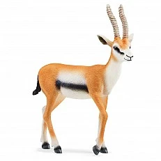 Ειδώλιο Gazelle, Schleich Ηλικία: 3+ Μέγεθος: 8,9x2,2x9,5cm