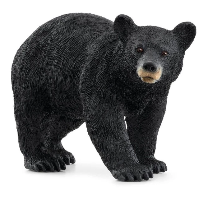 Αμερικανικό ειδώλιο μαύρης αρκούδας, Schleich Ηλικία: 3+ Μέγεθος: 11,8x3,5x5,5 εκ.