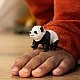 Φιγούρα Μωρού Πάντα, Schleich Ηλικία: 3+ Μέγεθος: 3.1x3.5x5.6 εκ.